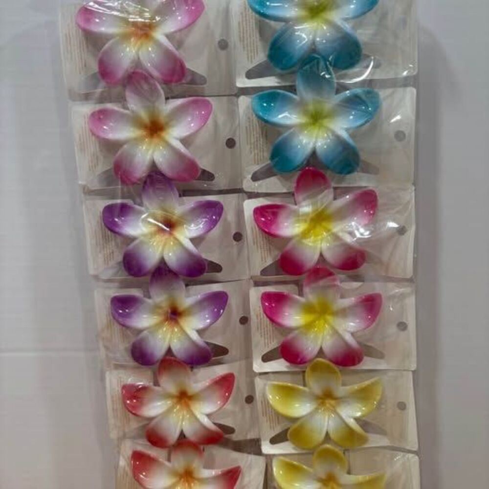 12 Assorted Tropical Flower Hair Clips – Wholesale Lot